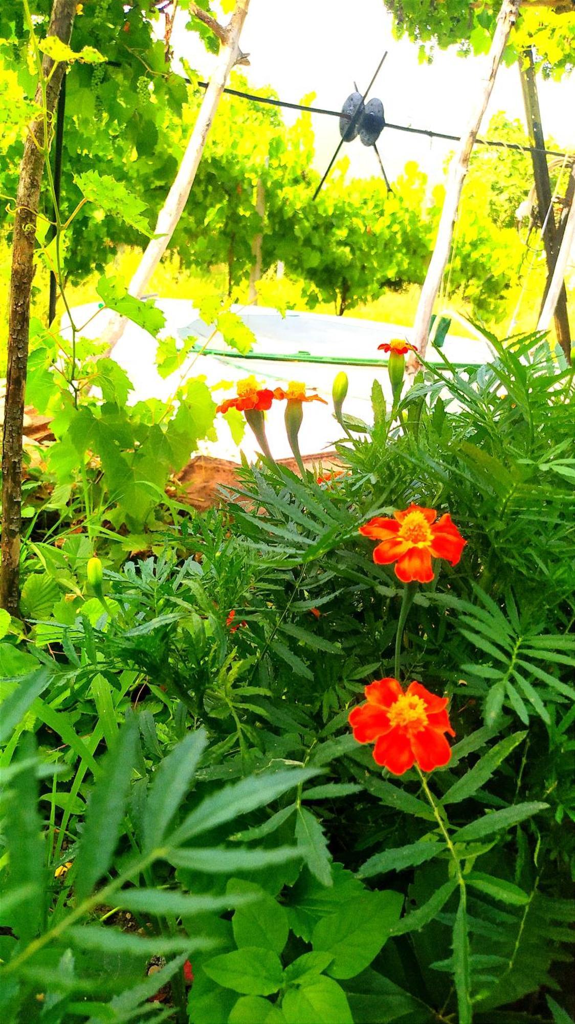 Spring Village Home Πρεμετή Δωμάτιο φωτογραφία