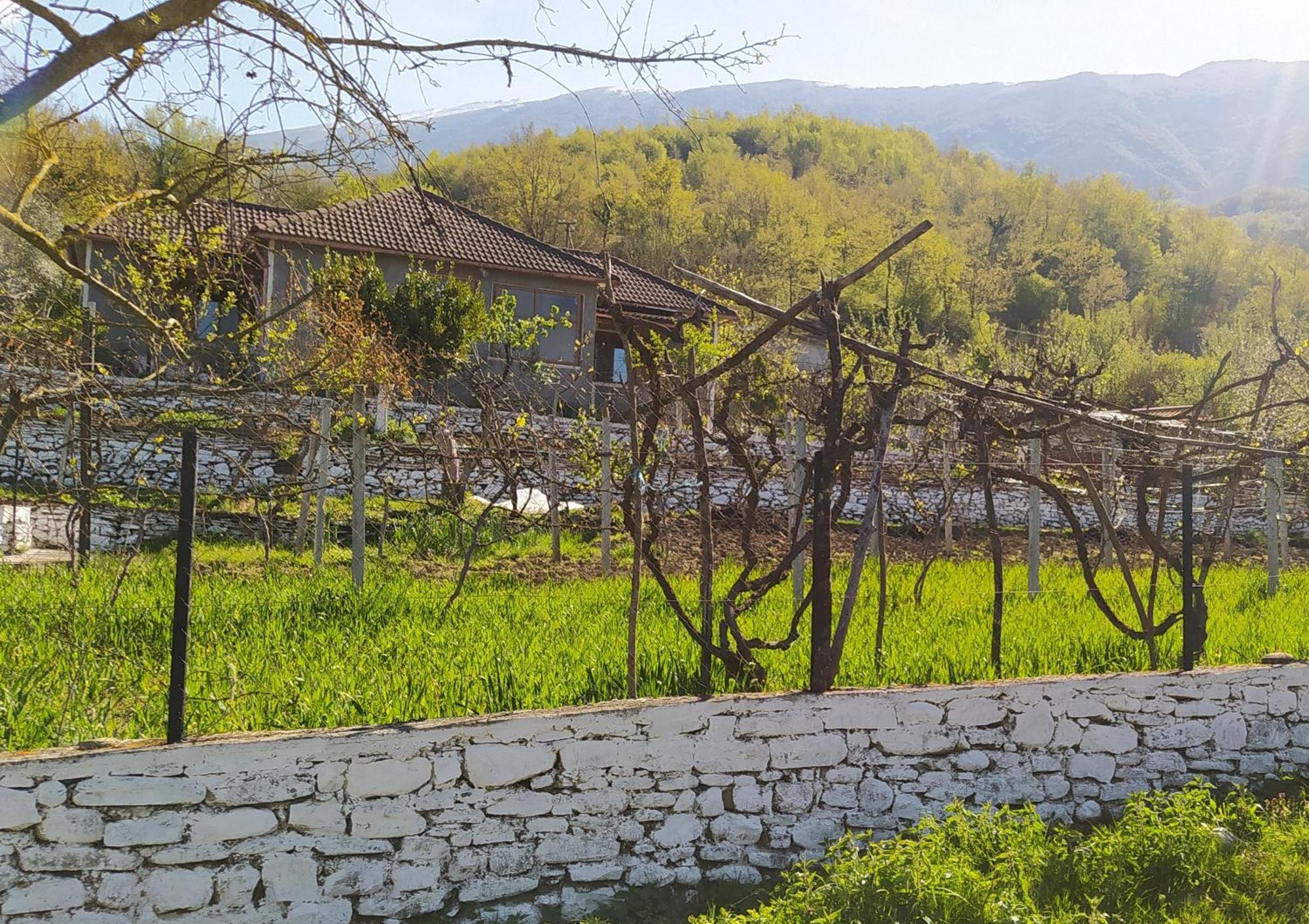 Spring Village Home Πρεμετή Εξωτερικό φωτογραφία