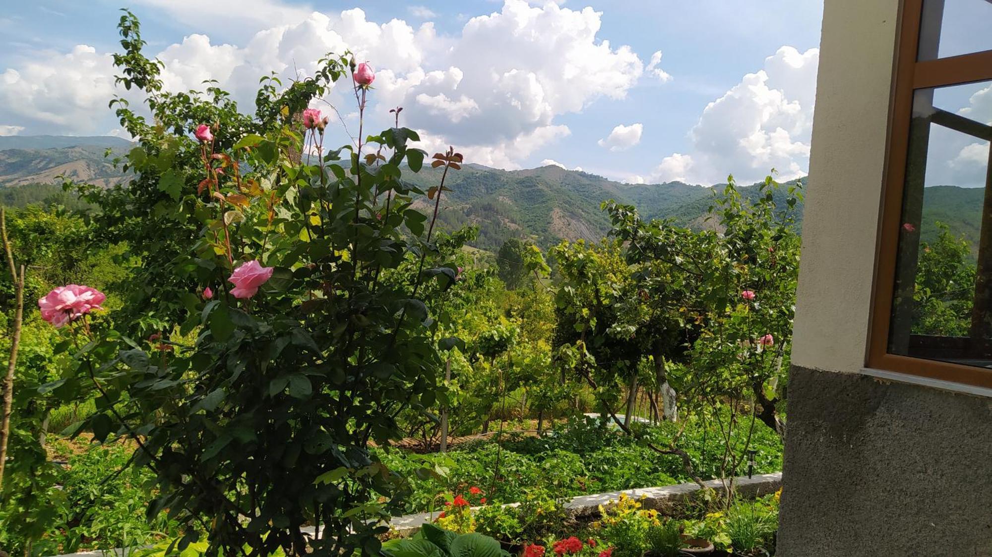 Spring Village Home Πρεμετή Εξωτερικό φωτογραφία
