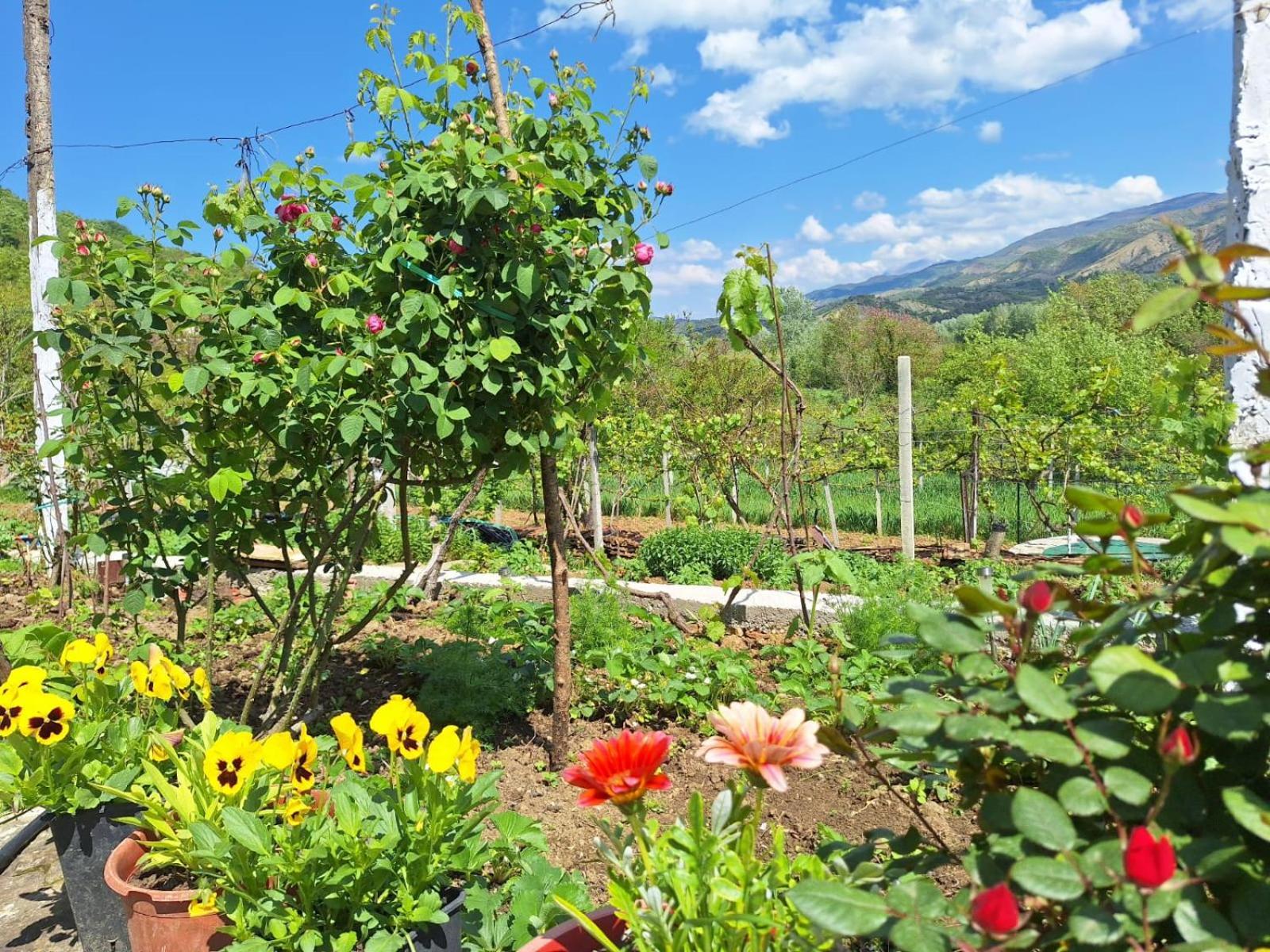 Spring Village Home Πρεμετή Εξωτερικό φωτογραφία